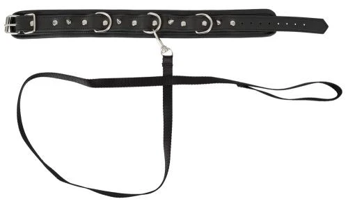 Vegan Fetish Vegan Halsband Met Lijn 4 Vegan Fetish Vegan Halsband Met Lijn - Afbeelding 2