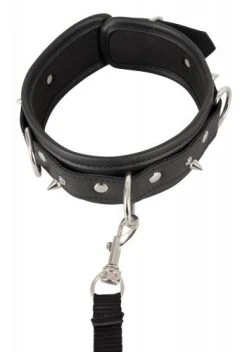 Vegan Fetish Vegan Halsband Met Lijn 10 Vegan Fetish Vegan Halsband Met Lijn -EasyToys Shop 24930041001 4