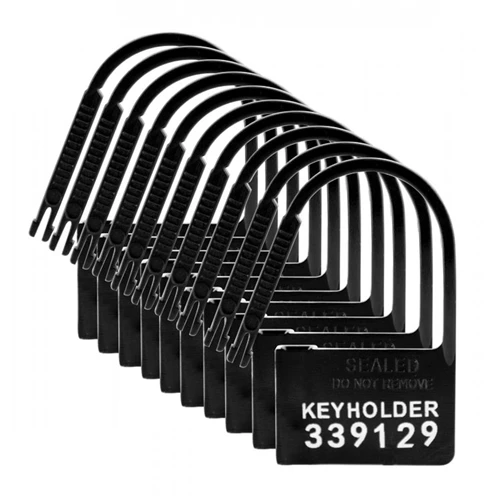 Master Series Keyholder Kuisheidskooi Hangslotjes - 10 Stuks 3 Master Series Keyholder Kuisheidskooi Hangslotjes - 10 Stuks