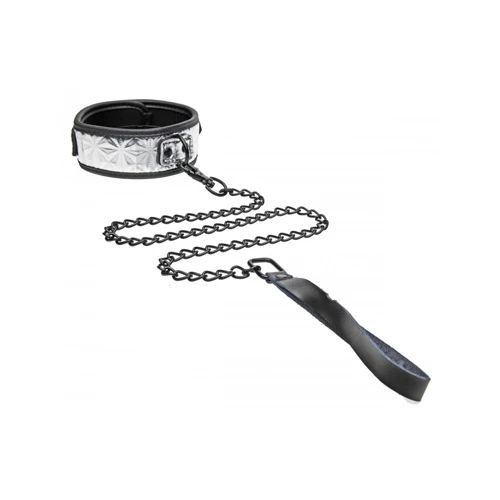 Master Series Platinum Bound Halsband Met Riem 3 Master Series Platinum Bound Halsband Met Riem