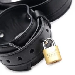 STRICT Frog-Tie Restraint Bondage Harnas Met Sloten 13 STRICT Frog-Tie Restraint Bondage Harnas Met Sloten -EasyToys Shop AG527 6