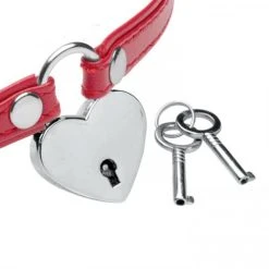 Master Series Heart Lock - Collar Met Sleutels - Rood -EasyToys Shop AG762 Red 2