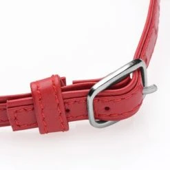 Master Series Heart Lock - Collar Met Sleutels - Rood -EasyToys Shop AG762 Red 3