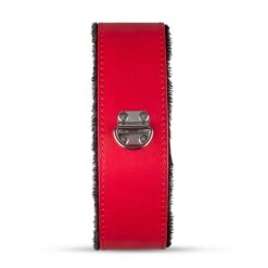 Secret Pleasure Chest - Red Dragon -EasyToys Shop LBX406 7