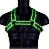 Ouch! Buckle Bulldog Harnas - Glow In The Dark -EasyToys Shop ou771glosm